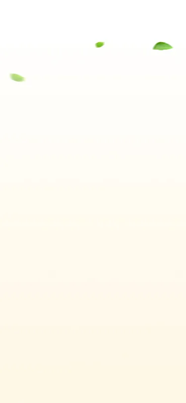 Background Quy trình