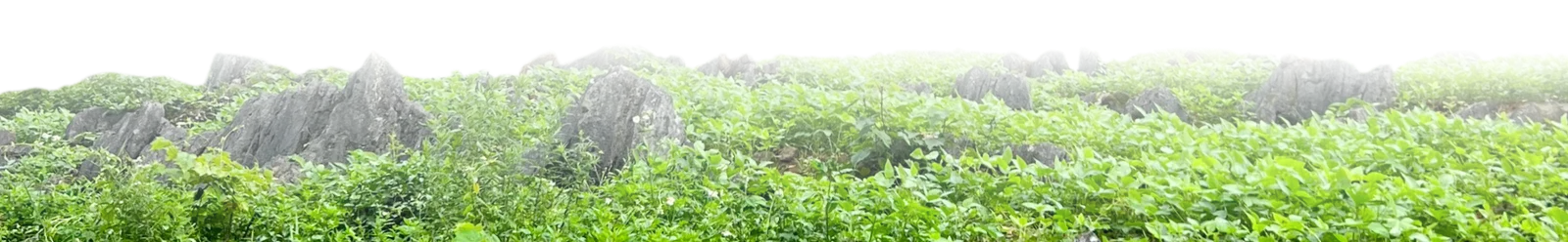 da_product_home