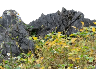 đá mobile
