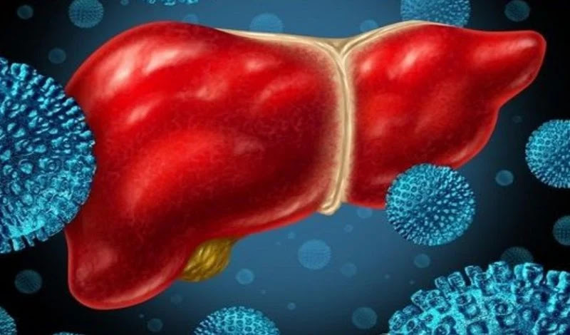 Enzyme giúp gan thực hiện giải độc