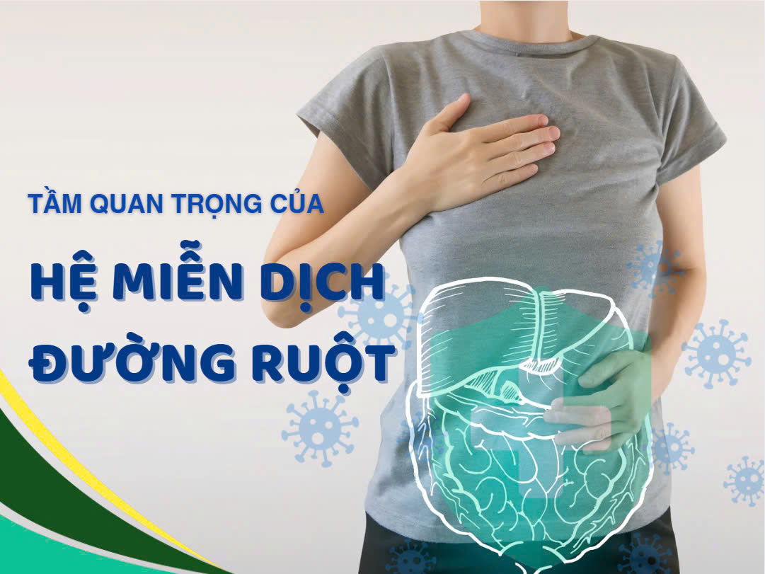 Tầm quan trọng của hệ miễn dịch đường ruột