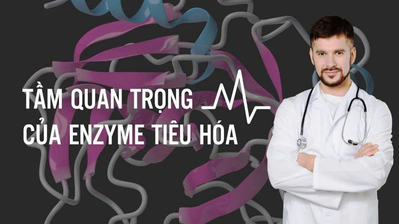 Tầm quan trọng Enzymes Tiêu Hóa