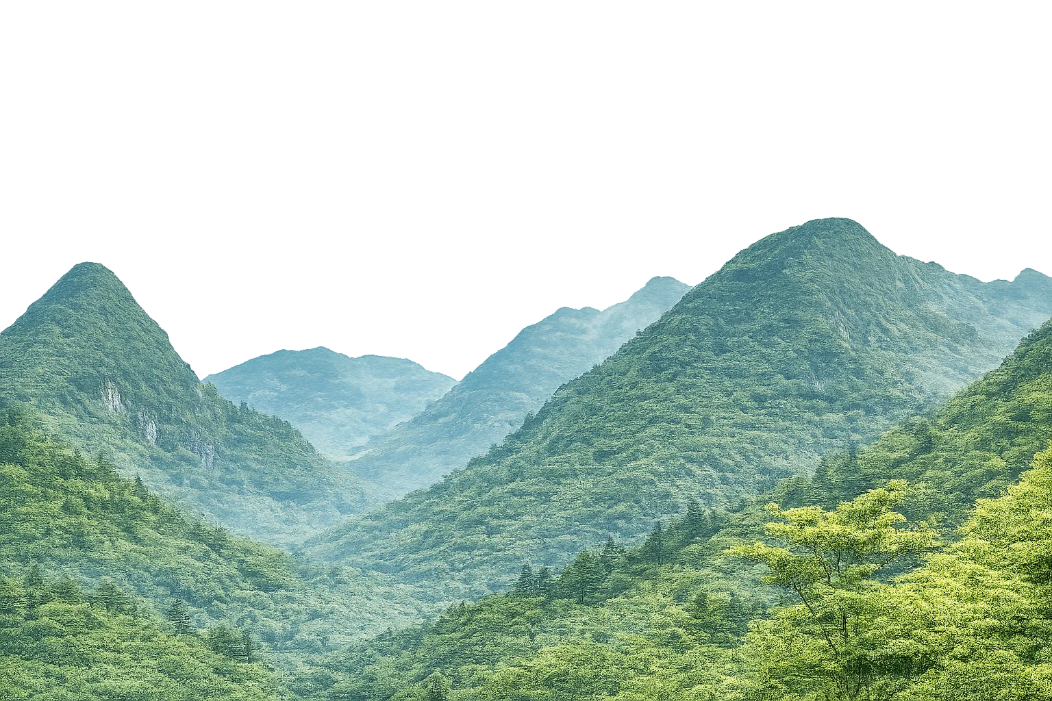 Đồi đằng sau