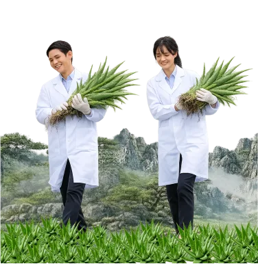 Người mobile